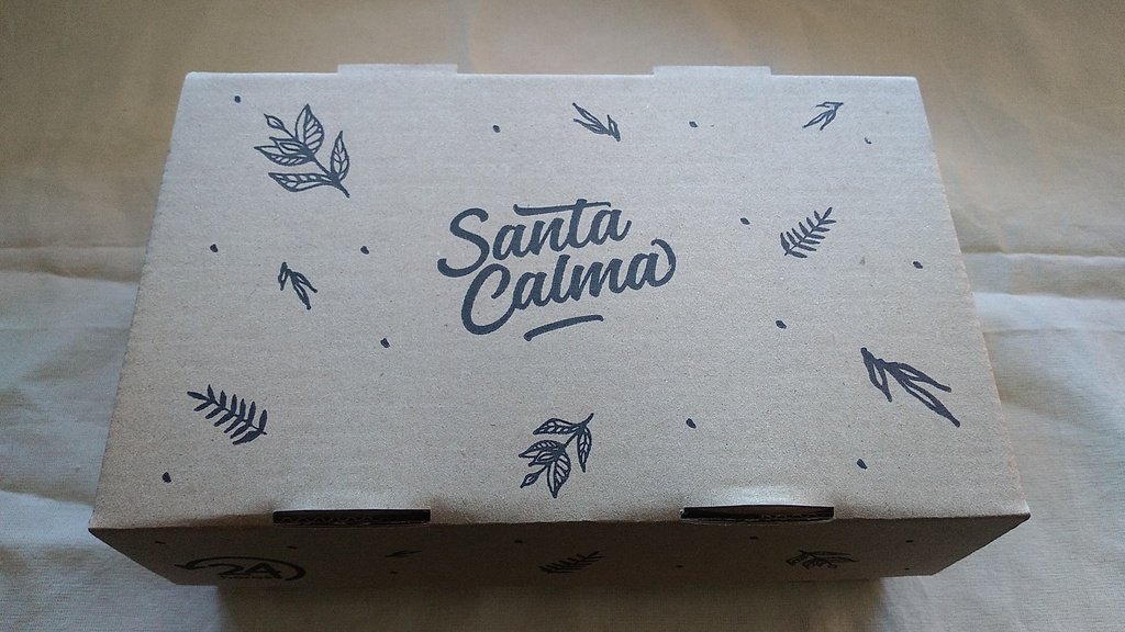 CAJA LOMO/HAMB SIMPLE SCALMA X 100 